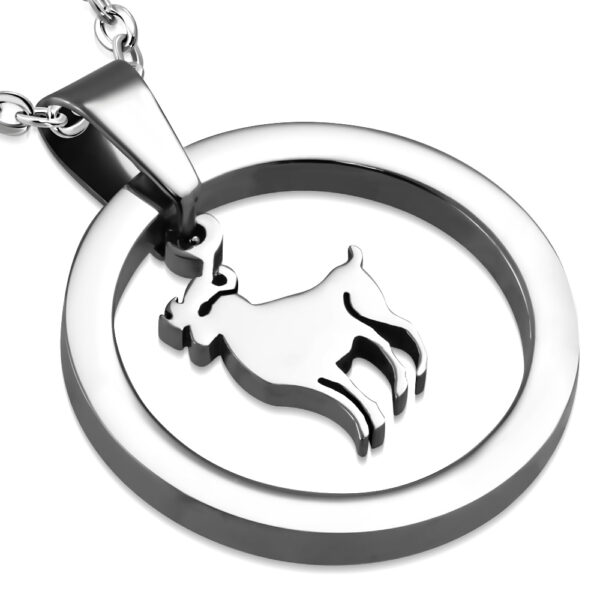 Kos horoszkóp, kör alakú nemesacél medál
