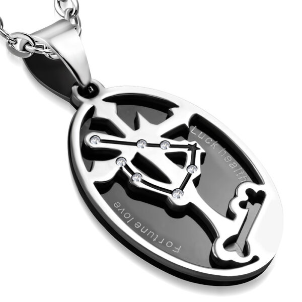 Bak horoszkóp, 2 részes nemesacél medál, cirkónia kristállyal