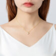 ACP-078-L-800