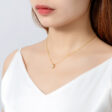 ACP-078-M-800